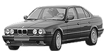 BMW E34 C126F Fault Code